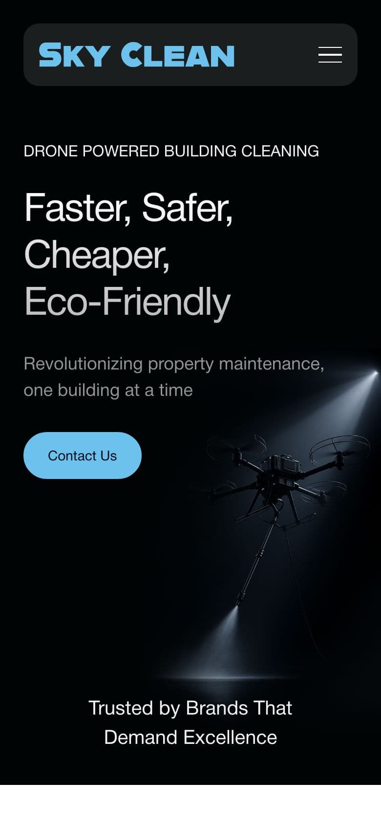 Sky Clean mobile site