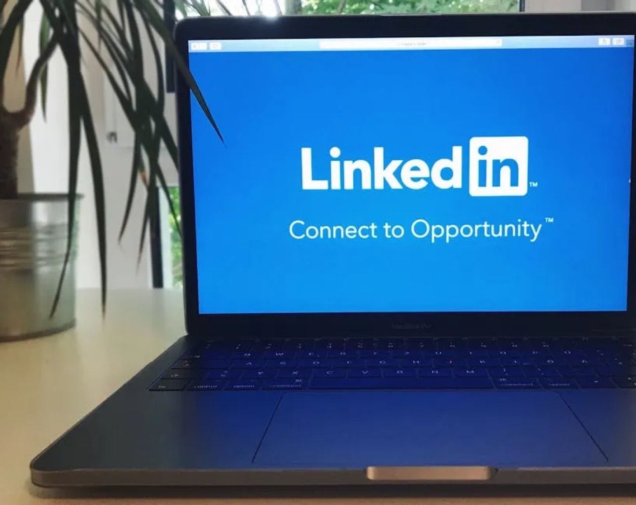Consulting the Experts: Personal Branding on LinkedIn